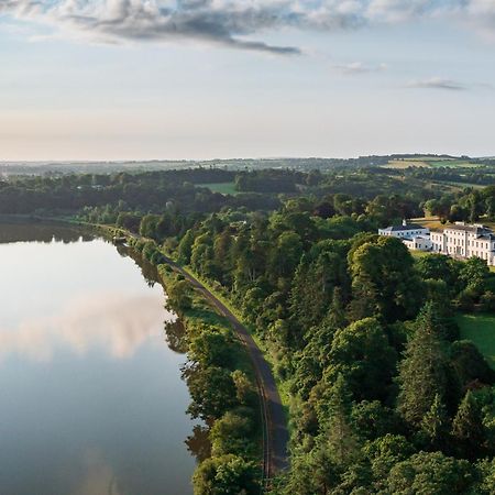 The Forest At Mount Congreve Gardens Kilmeaden Extérieur photo
