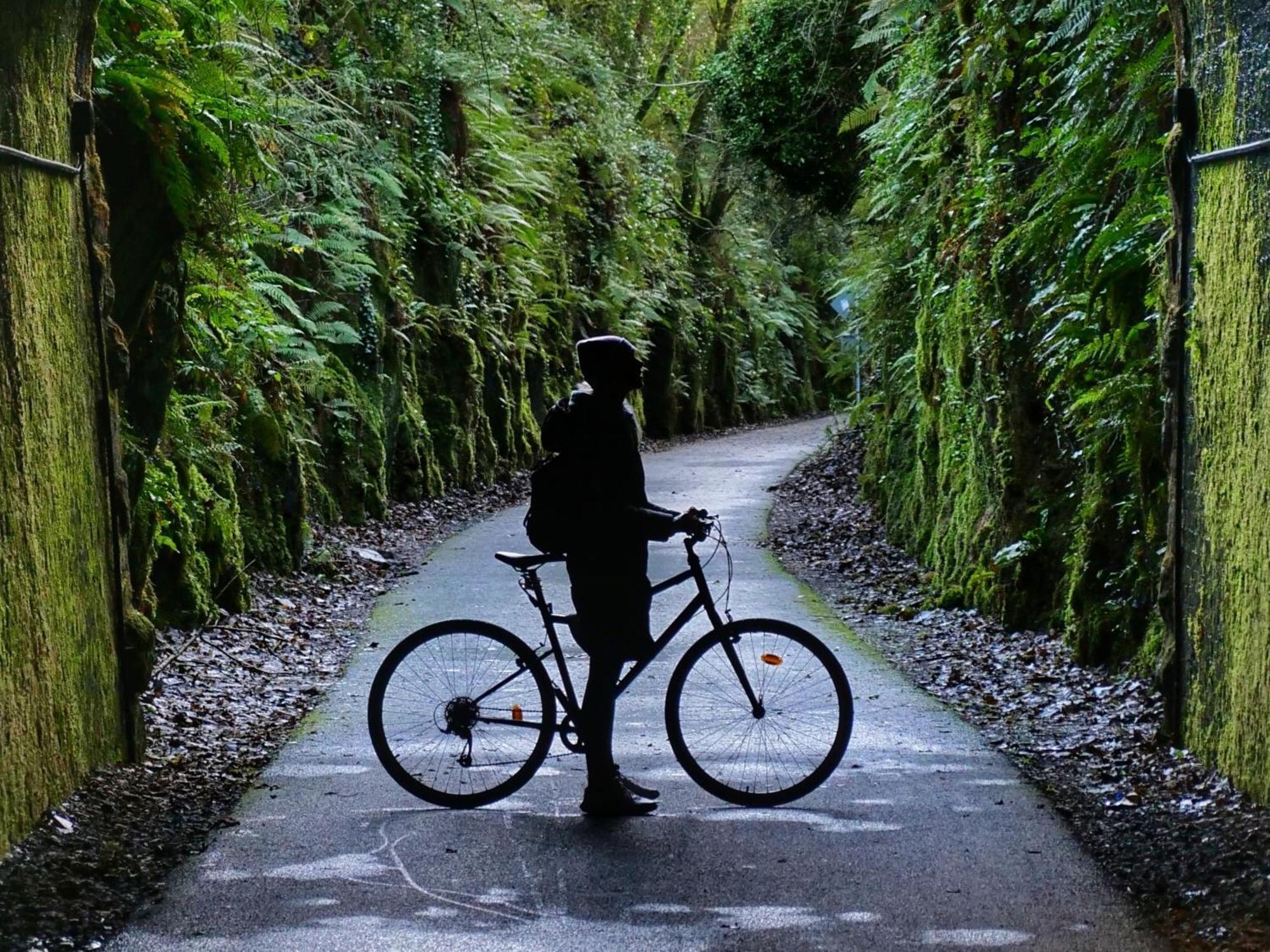 The Forest At Mount Congreve Gardens Kilmeaden Extérieur photo