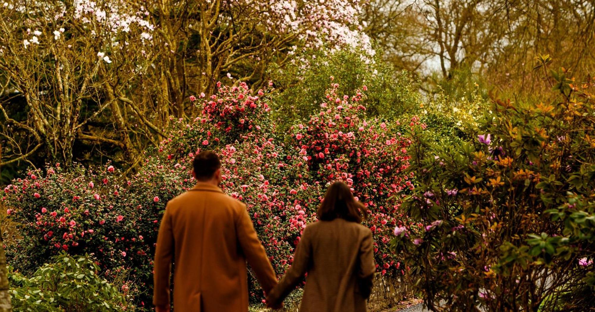 The Forest At Mount Congreve Gardens Kilmeaden Extérieur photo